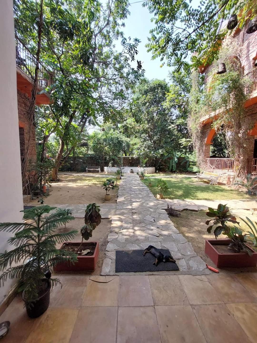 The Secret Garden Bed & Breakfast Pushkar Exterior photo