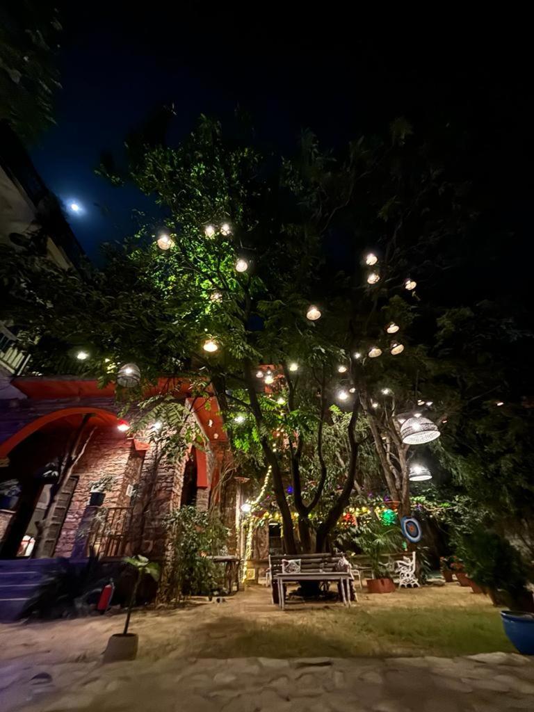 The Secret Garden Bed & Breakfast Pushkar Exterior photo