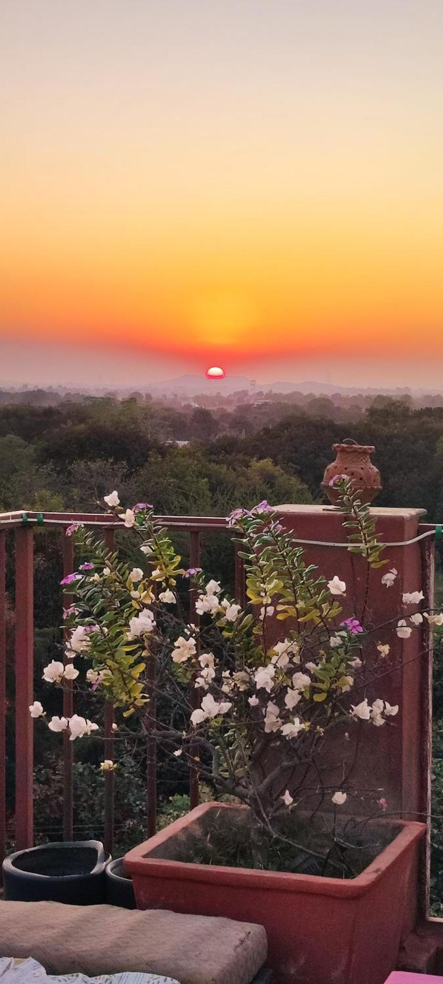 The Secret Garden Bed & Breakfast Pushkar Exterior photo